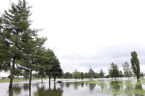 poplave