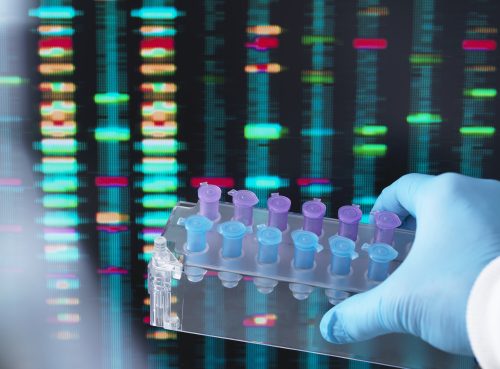 DNA test