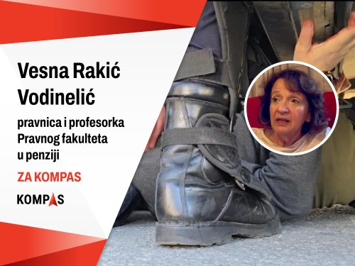 Policija primena sile, Vesna Rakić Vodinelić