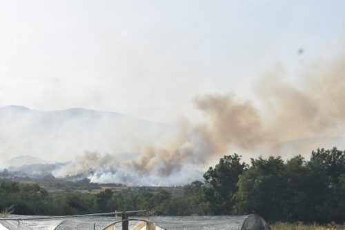 Vranje Vranja požari vatra gašenje