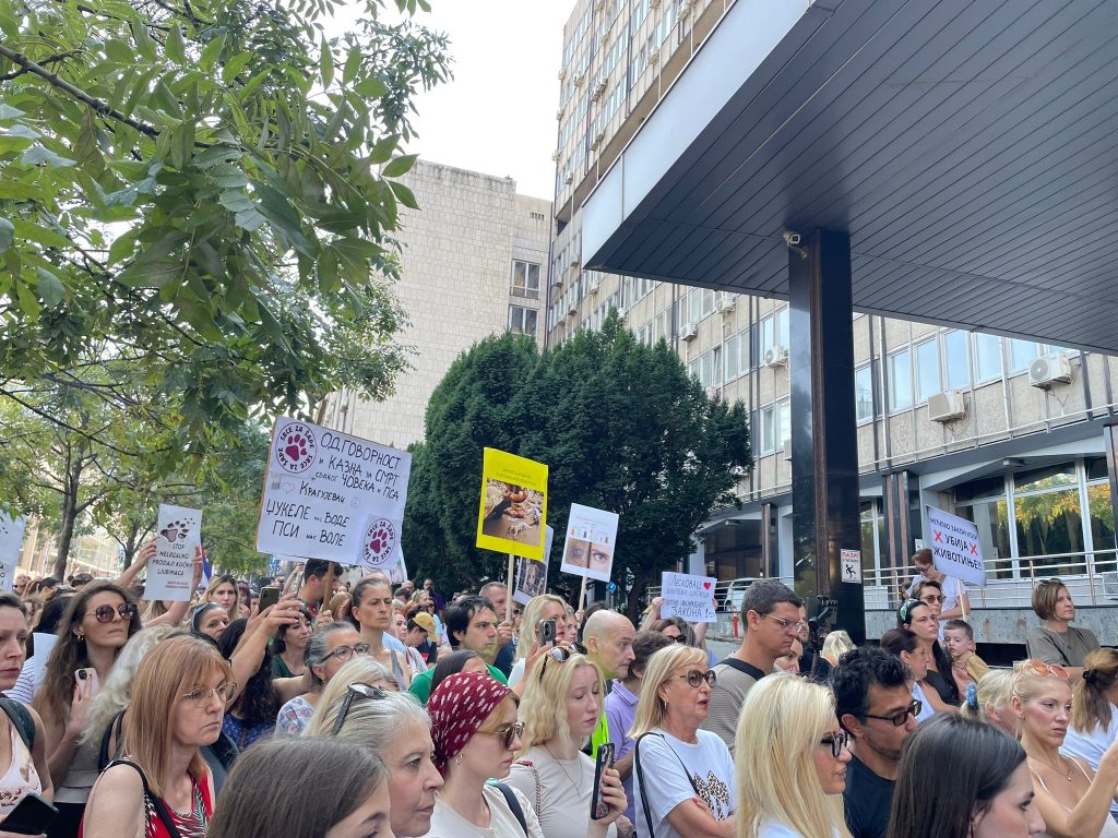 protest životinje ubistvo zakon o dobrobiti ministarstvo